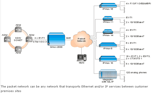 GMUX-M/PI/AC, GMUX-M/PS/AC, GMUX-M/PI/48, GMUX-M/PS/48, GMUX-M/GE/MM85LC, GMUX-M/GE/SM13LC, GMUX-M/GE/SFP-6, GMUX-M/GE/SFP-7, GMUX-M/GE/SFP/5, GMUX-M/GE/SFP/9, GMUX-M/OC3/CX, GMUX-M/OC3/MM85SC, GMUX-M/OC3/MM13SC, GMUX-M/OC3/SM13SC, GMUX-M/T1/CE-SRV/28, GMUX-M/T1-CE/28, GMUX-M/STM1/CX, GMUX-M/STM1/MM85SC, GMUX-M/STM1/MM13SC, GMUX-M/STM1/SM13SC, GMUX-M/E1/CE-SRV/21, GMUX-M/E1-CE/28