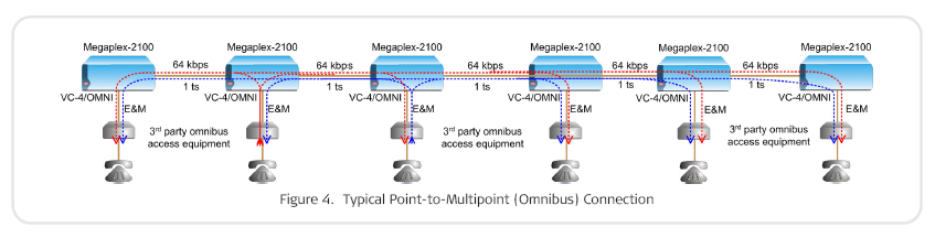 Megaplex point to multipoint chain